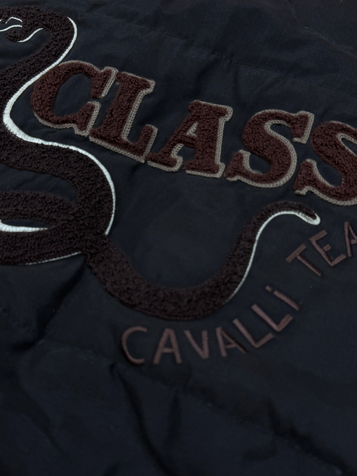 vintage Roberto Cavalli vest {M}