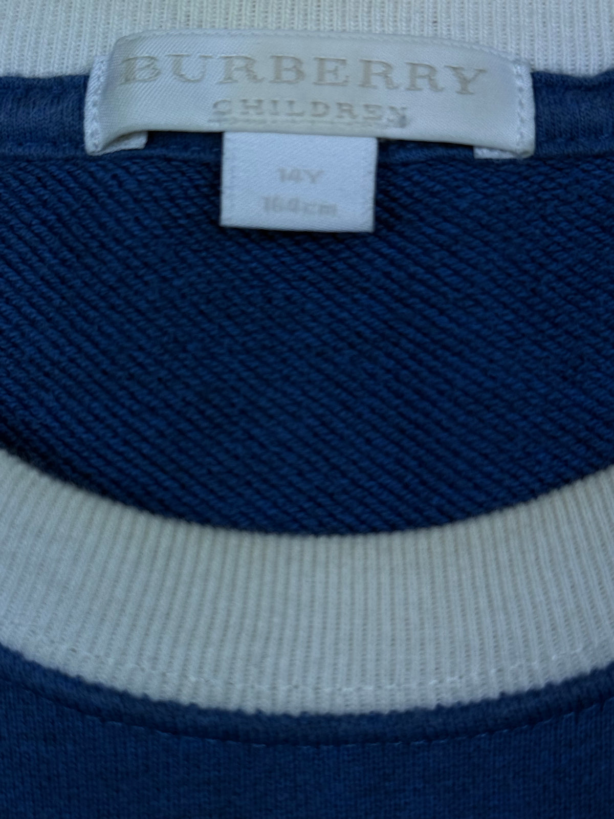 vintage Burberry sweater {S}