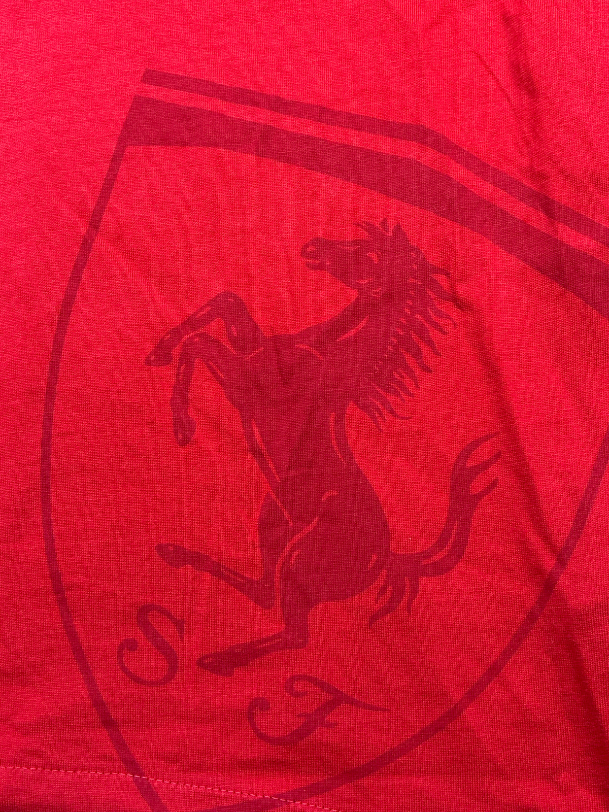 vintage Puma Ferrari polo {XL}
