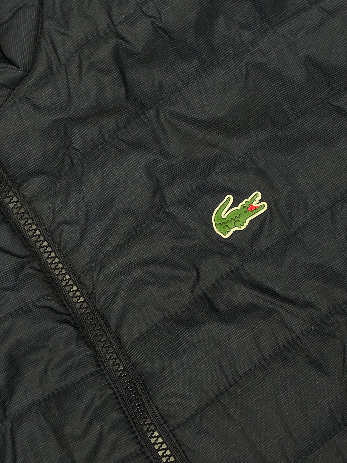 navyblue Lacoste winterjacket {XL}