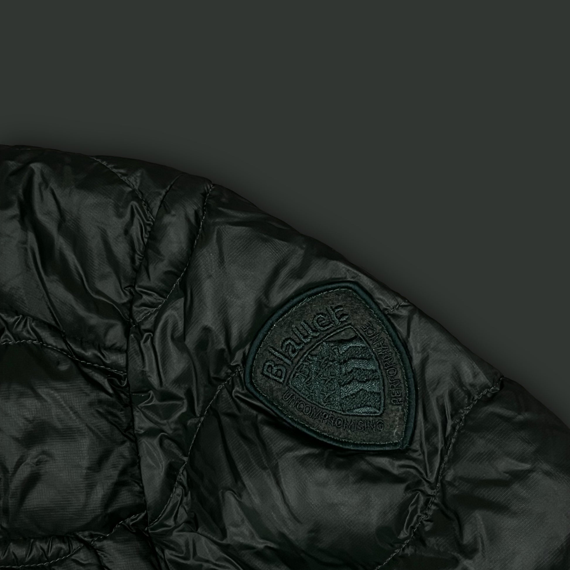 green Blauer winterjacket {L}