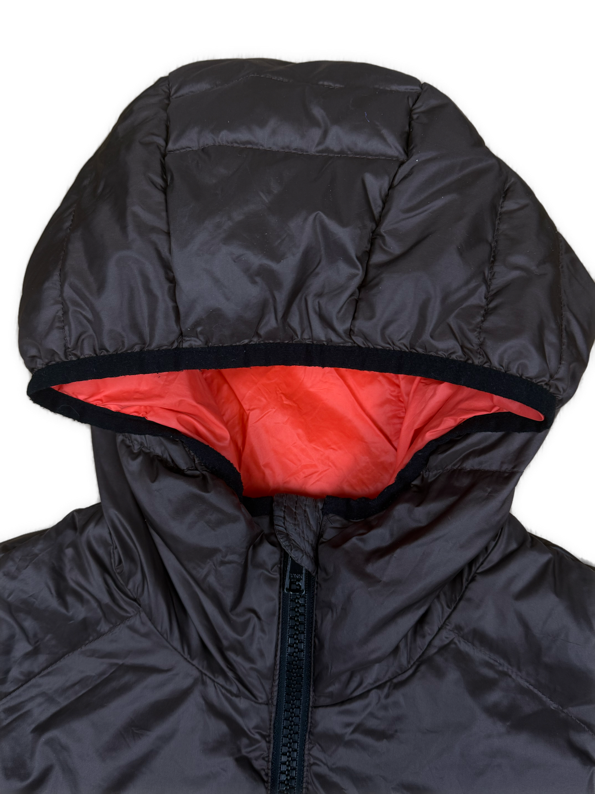 brown Blauer winterjacket {M}
