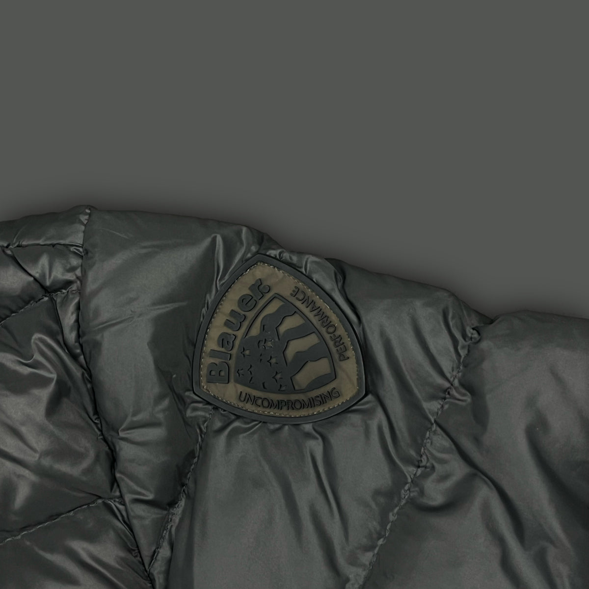 grey Blauer winterjacket {M}