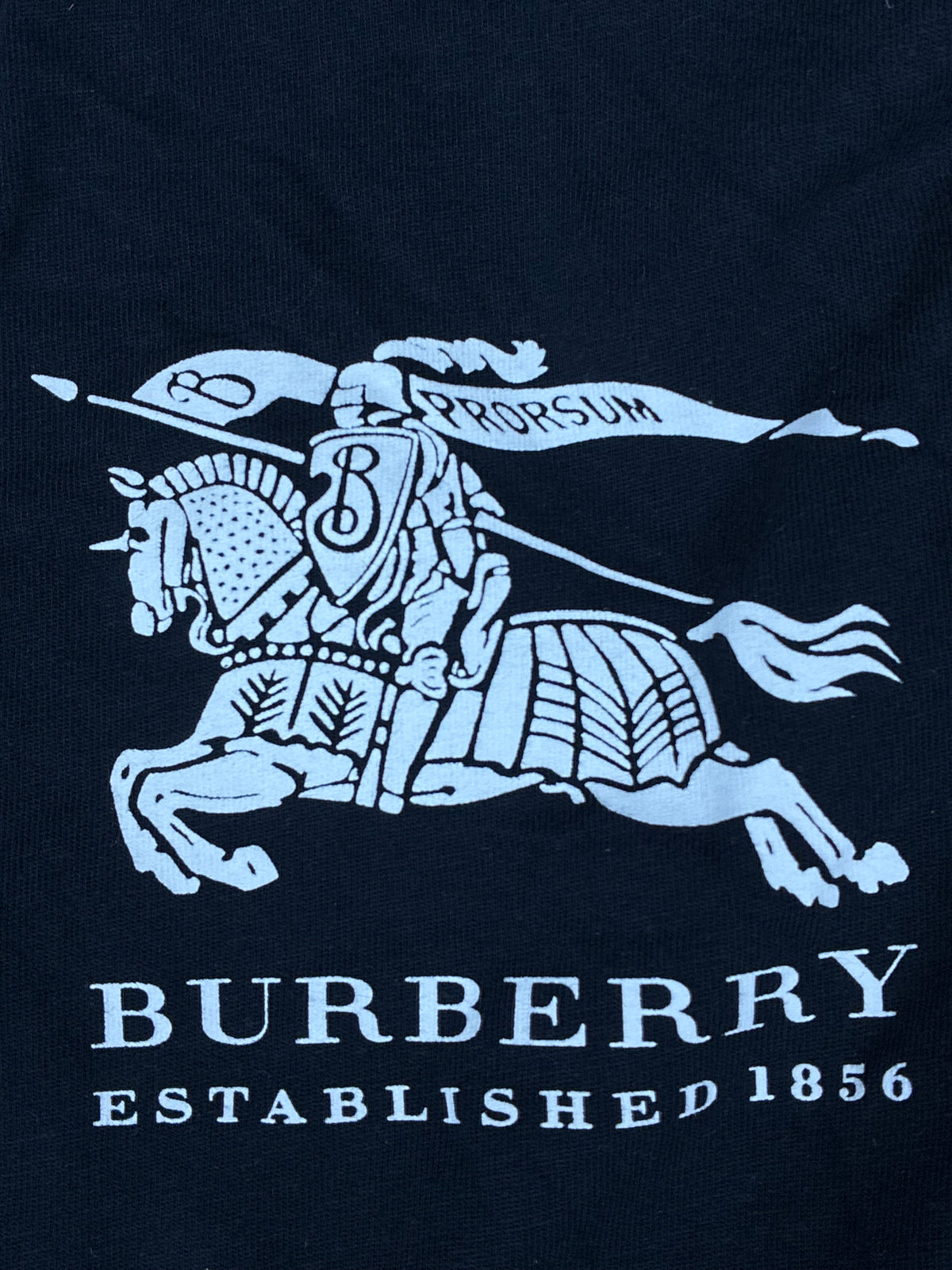 vintage Burberry sweatjacket {M}
