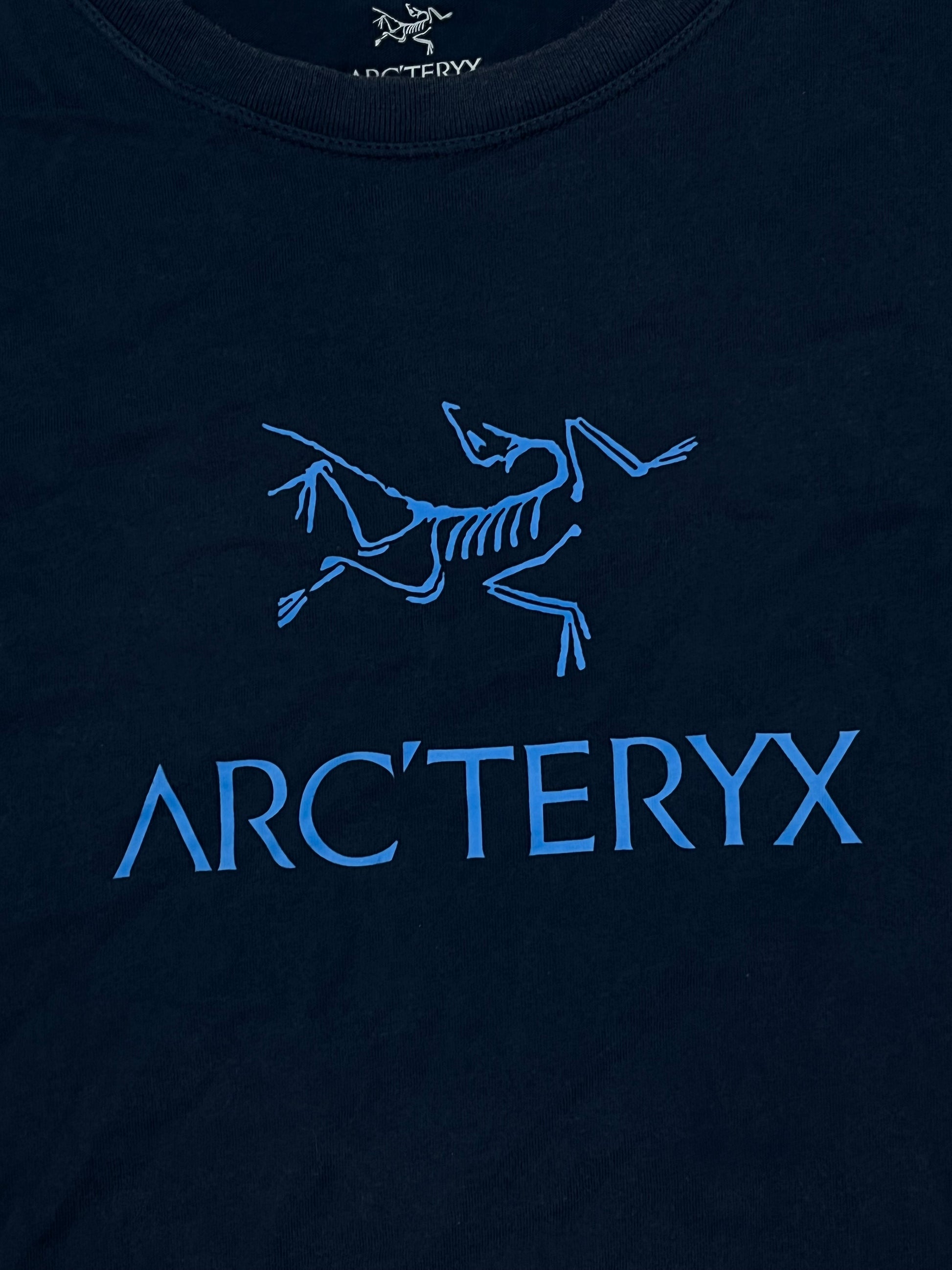 vintage Arcteryx t-shirt {L}