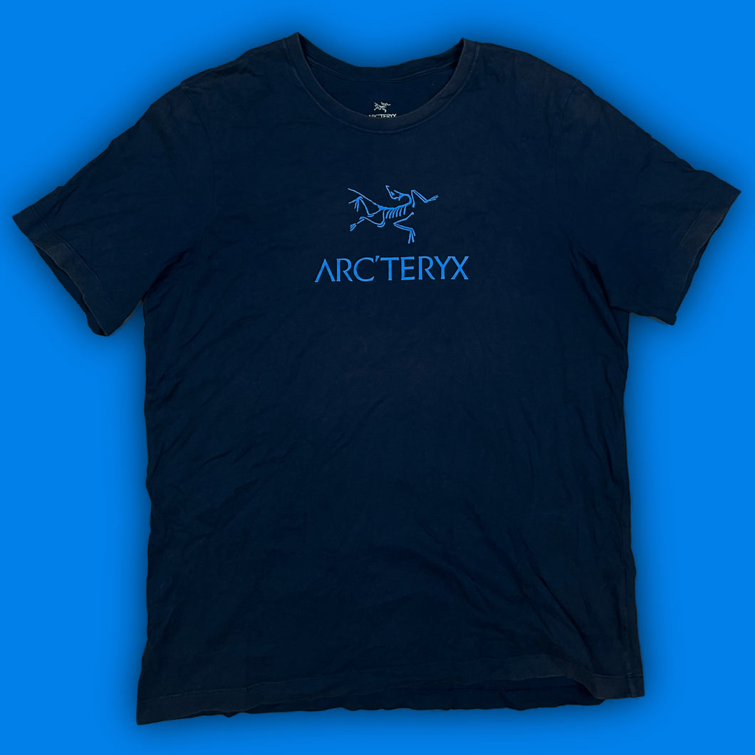 vintage Arcteryx t-shirt {L}