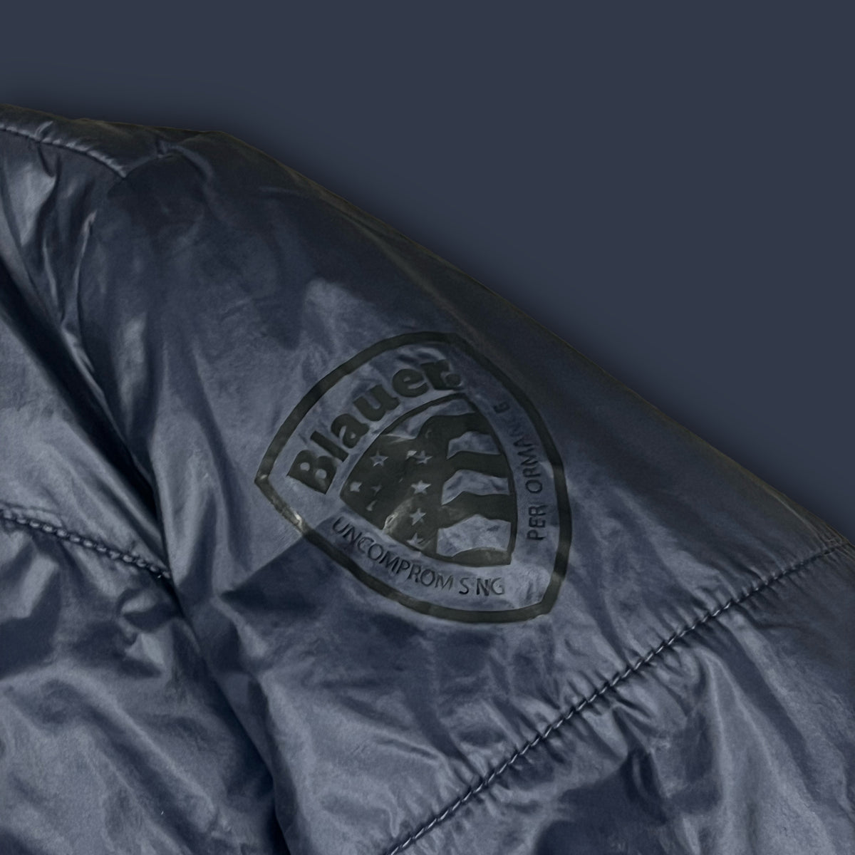 vintage Blauer winterjacket EHG {XL}