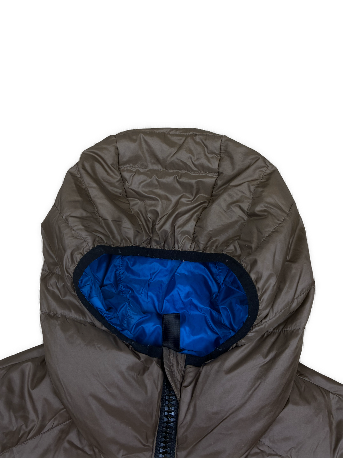 brown Blauer winterjacket {M}