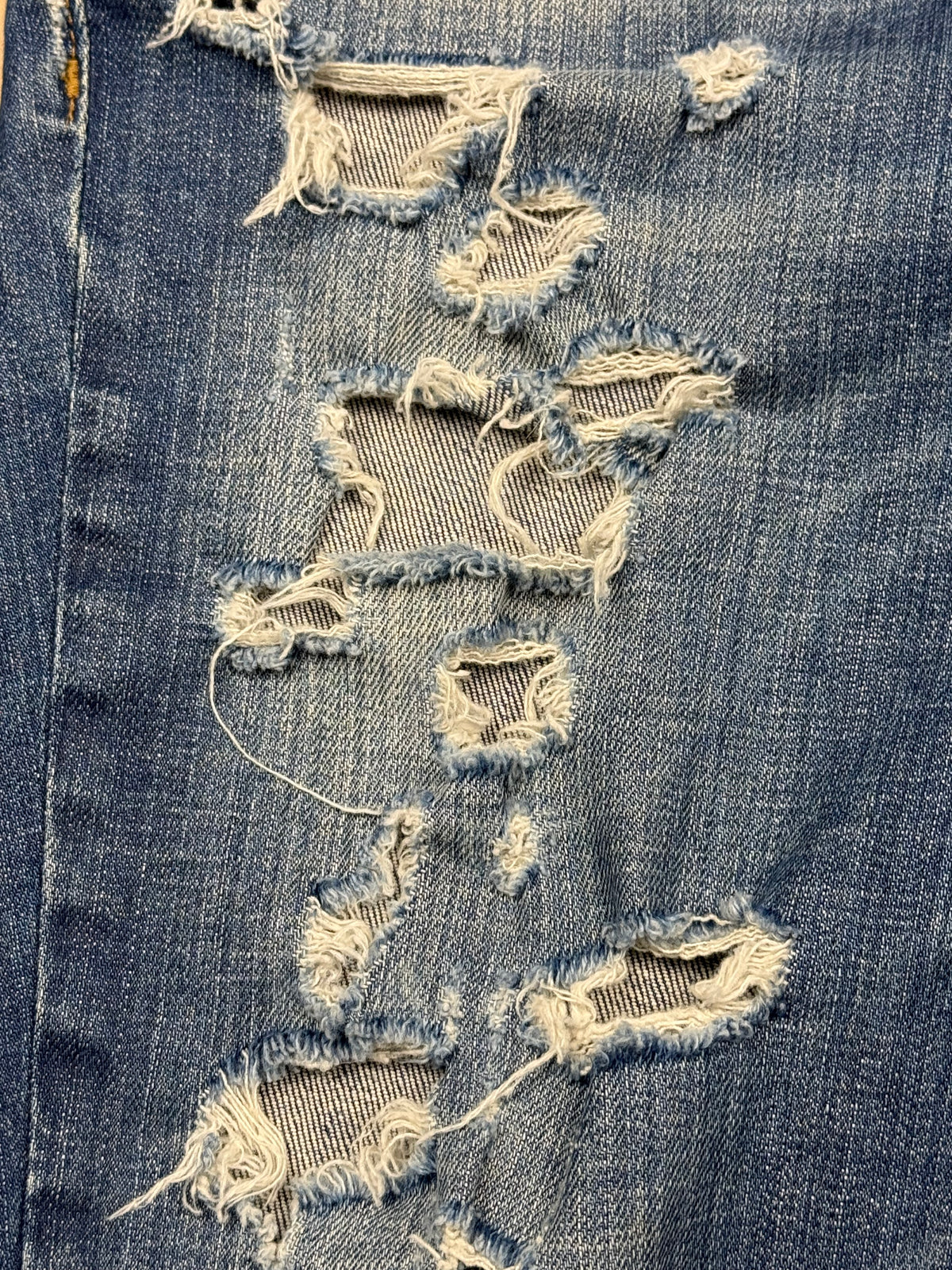 vintage Dolce & Gabbana jorts
