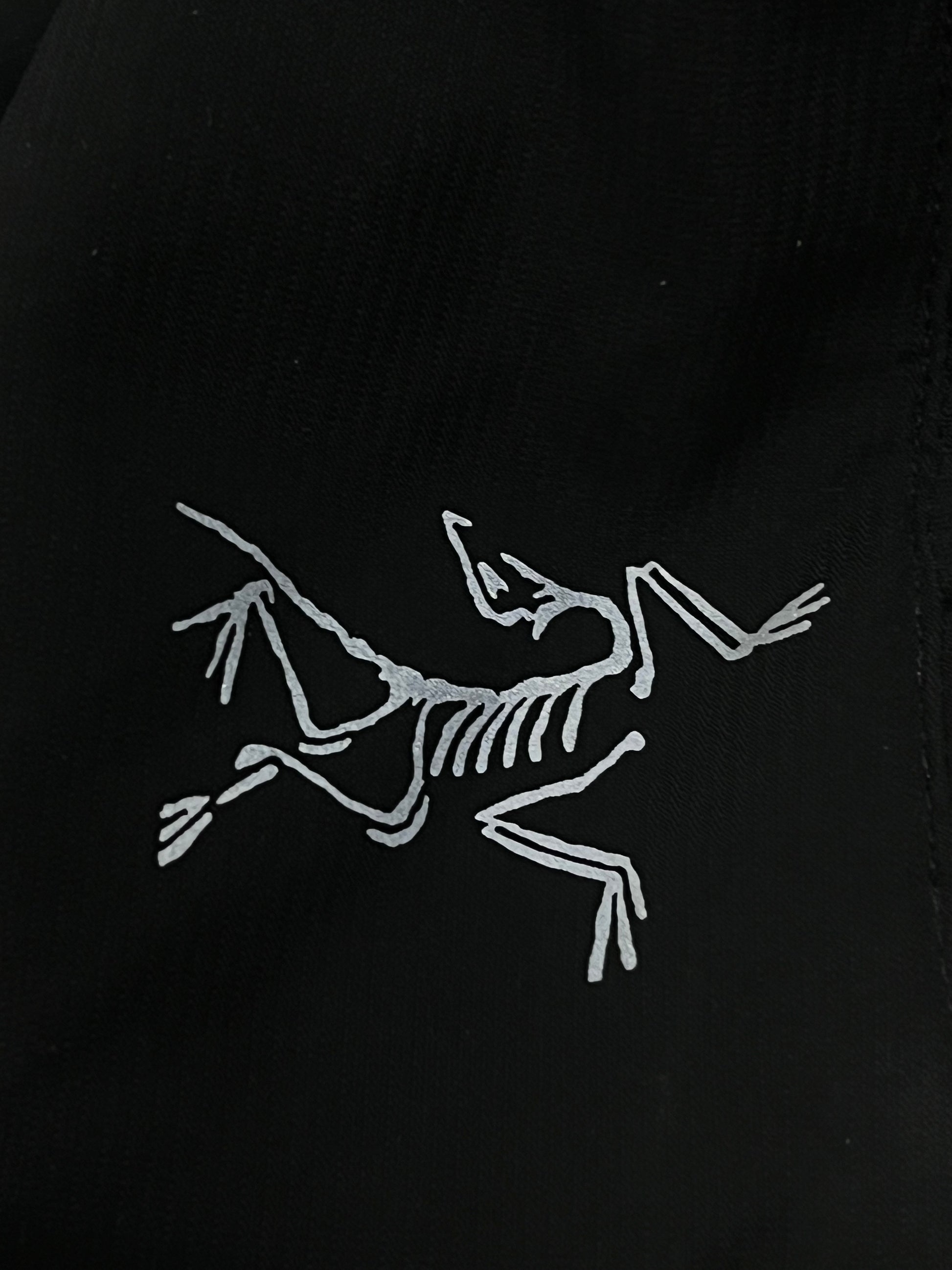 vintage Arcteryx cap