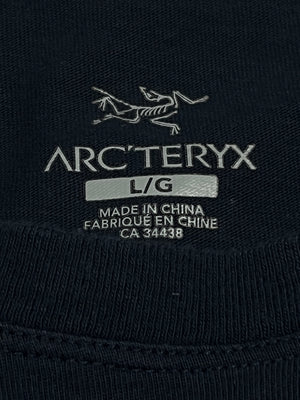 vintage Arcteryx t-shirt {M-L}