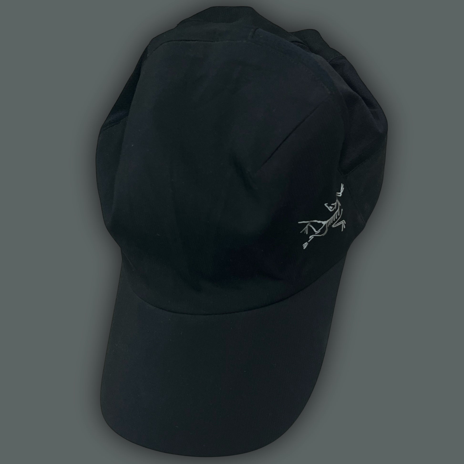 vintage Arcteryx cap