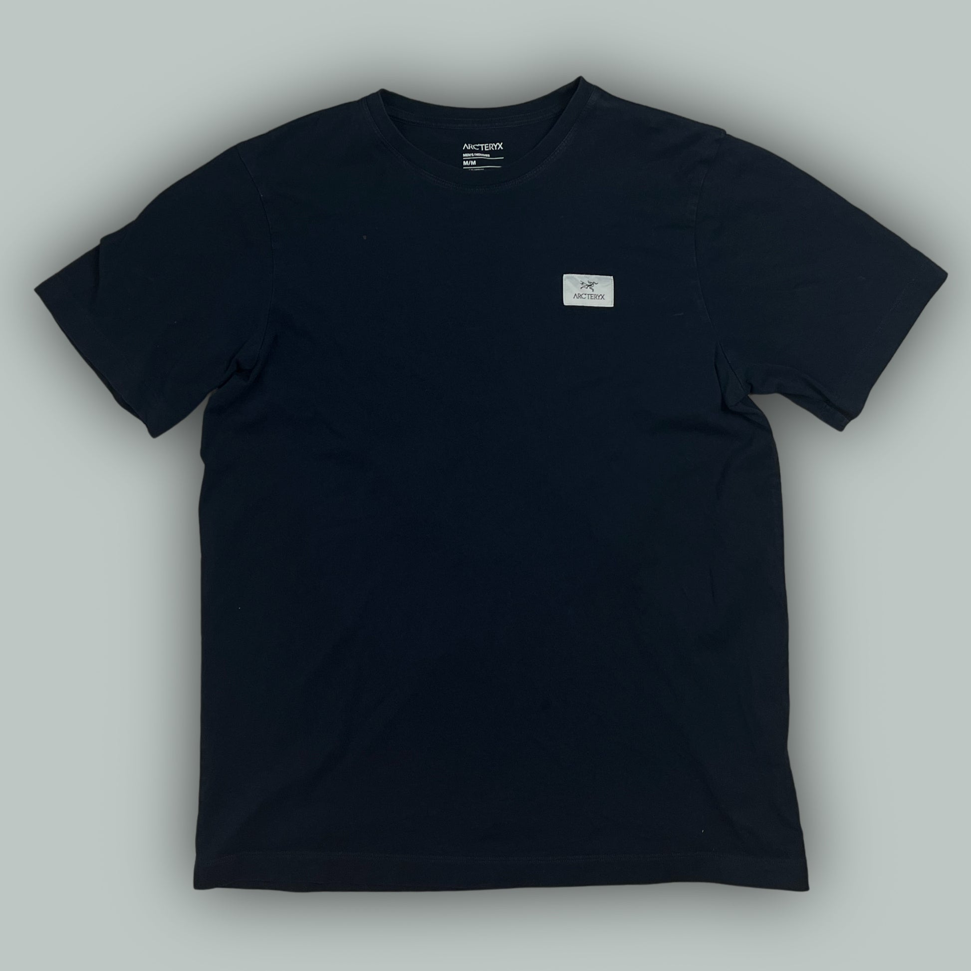 vintage Arcteryx t-shirt {S-M}