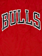 Carregar imagem no visualizador da galeria, vintage Champion Chicago Bulls trainingsjersey {XL}
